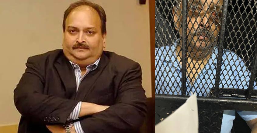 India Sends Documents for Fugitive Mehul Choksi's@odia24.com