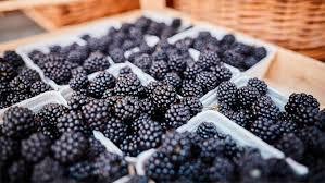 Highest in Protein Fruits ଅଧିକ ପ୍ରୋଟିନ ଥିବା  ଫଳ  || ବ୍ଲାକବେରି(Blackberries ) ||odia24.com